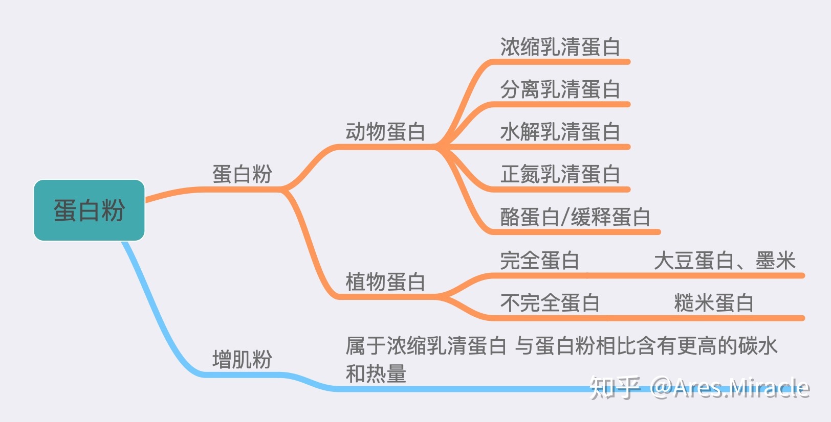 女性健身补剂_女士健身营养补剂_女士营养品
