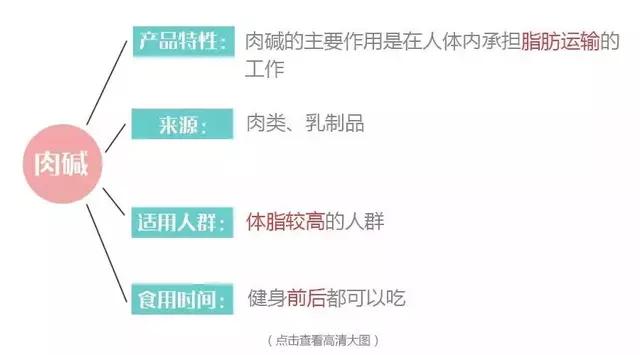女性健身补剂_女士营养品_女士健身营养补剂