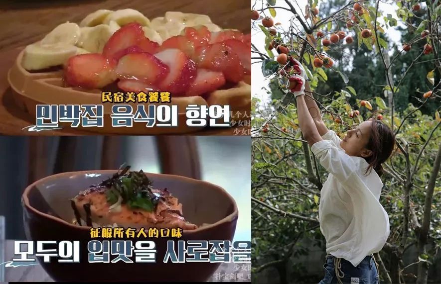 明星减肥菜谱_减脂餐明星_明星减肥食谱营养餐