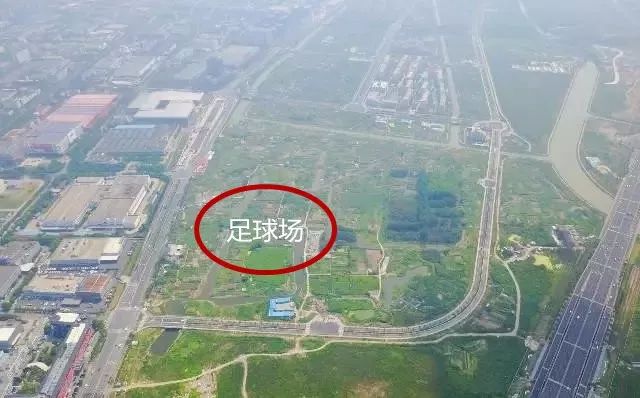 足球看台规则_我想看足球规则_足球比赛看台