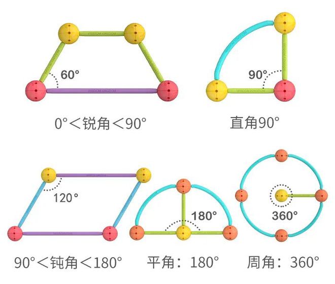学习的秒懂小知识_懂了小知识大百科_秒懂百科知识小视频