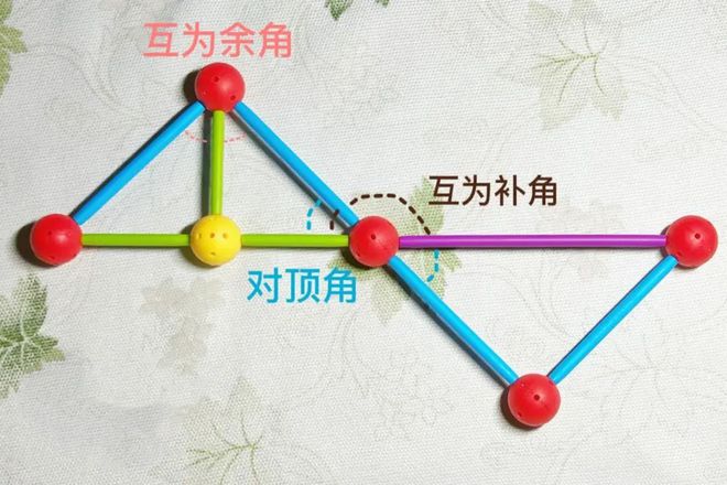 学习的秒懂小知识_秒懂百科知识小视频_懂了小知识大百科