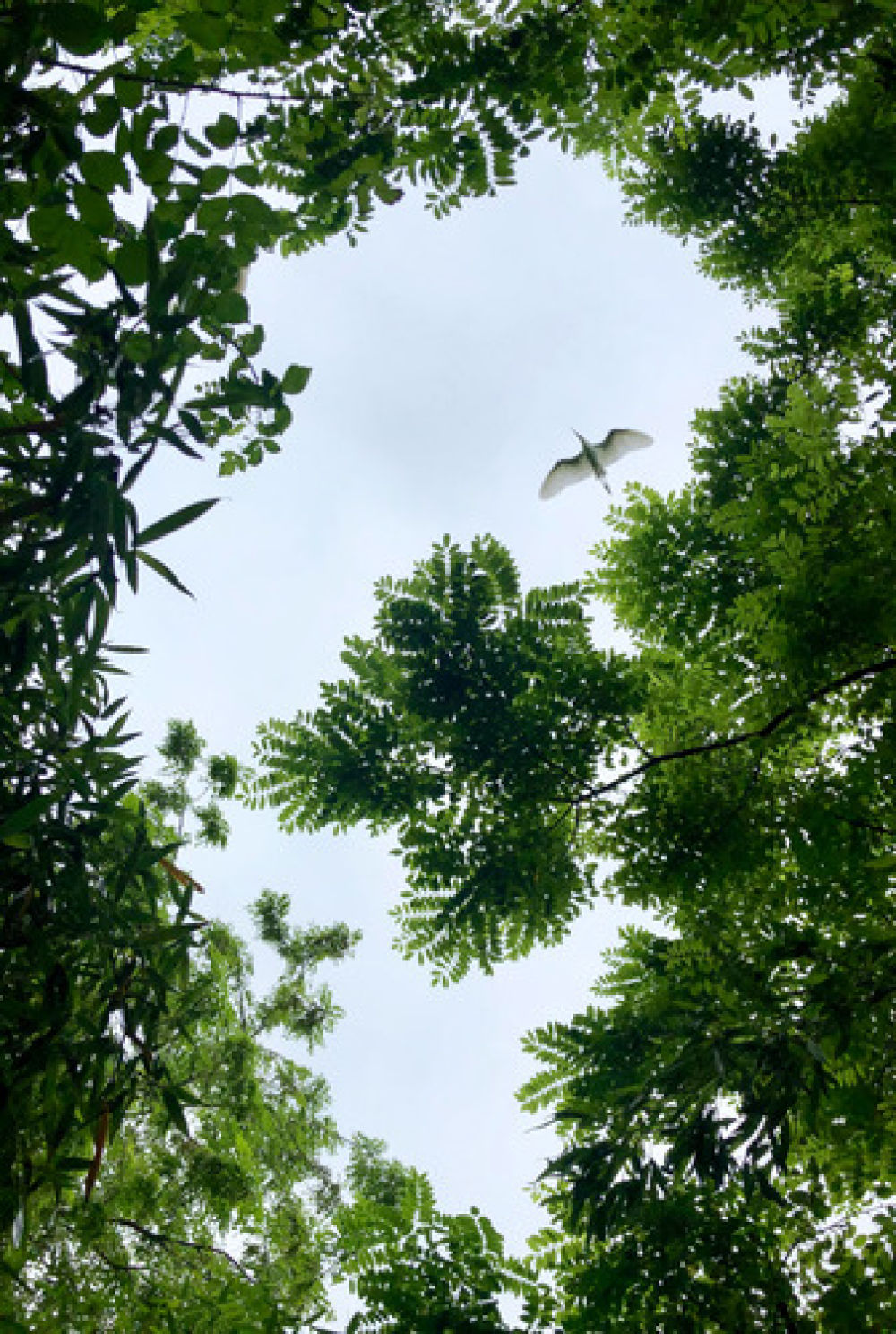 昆山营养科_昆山营养费多少钱一天_昆山营养餐