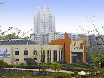 奥运举重女子冠军2008年_奥运2008女子举重冠军_奥运举重女子冠军一览表