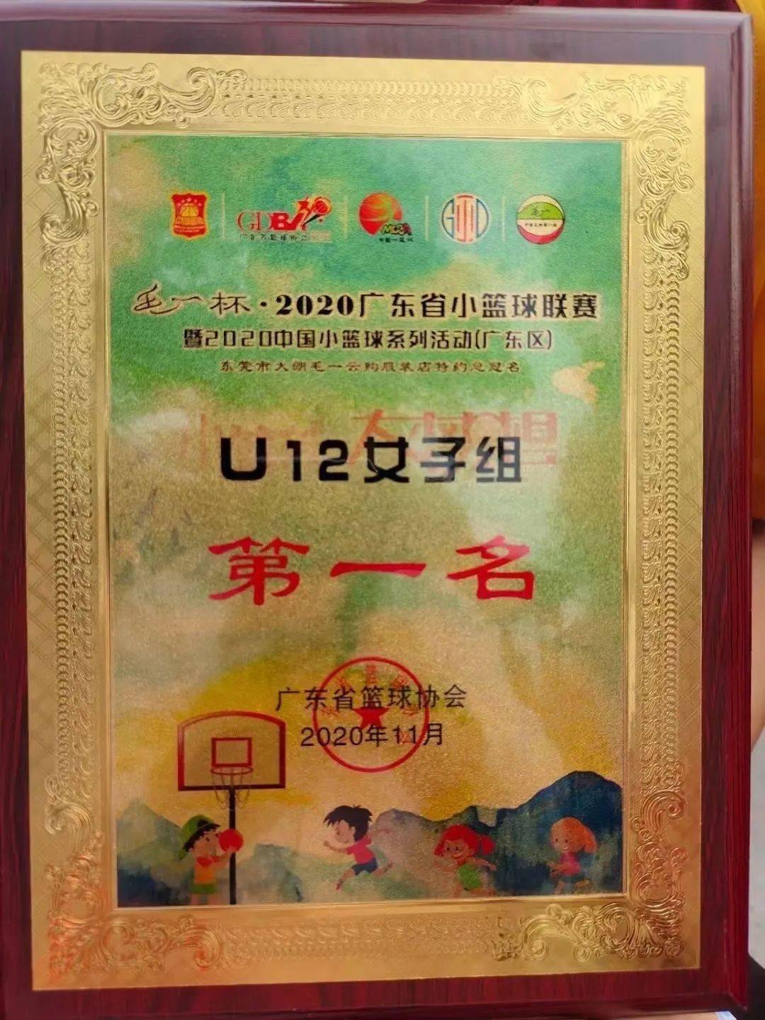 篮球冠军赛是什么意思_篮球冠军算几块金牌_四排镇篮球赛冠军是谁